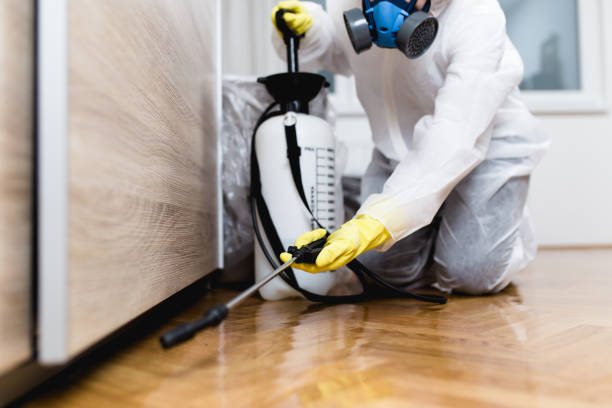 Best Pest Control Cost  in Harrison, MI