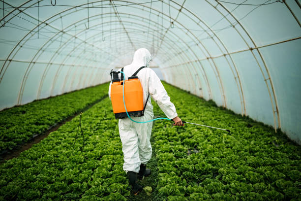 Best Local Pest Control Services  in Harrison, MI