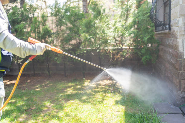 Best Affordable Pest Control Services  in Harrison, MI
