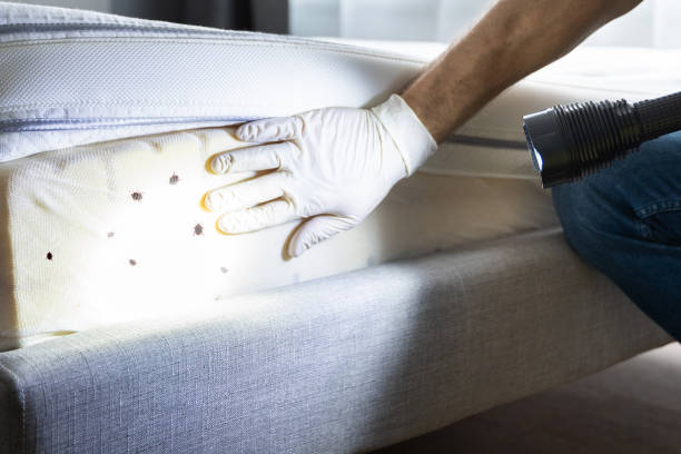 Best Pest Removal Services  in Harrison, MI