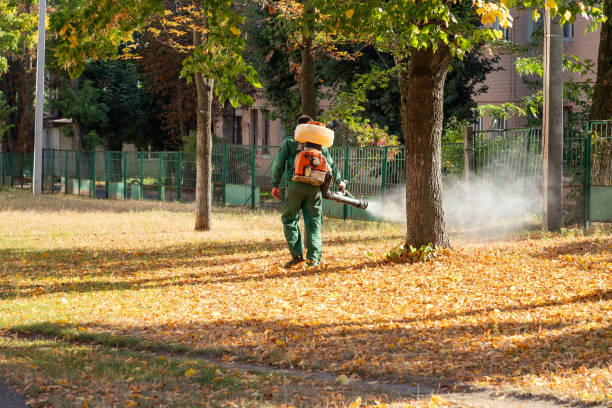 Pest Control Cost in Harrison, MI