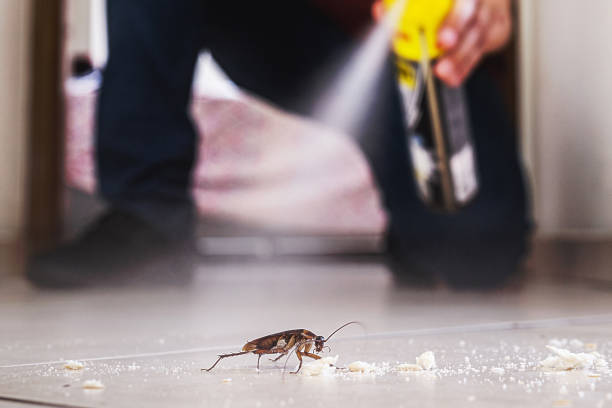 Best Termite Control Services  in Harrison, MI