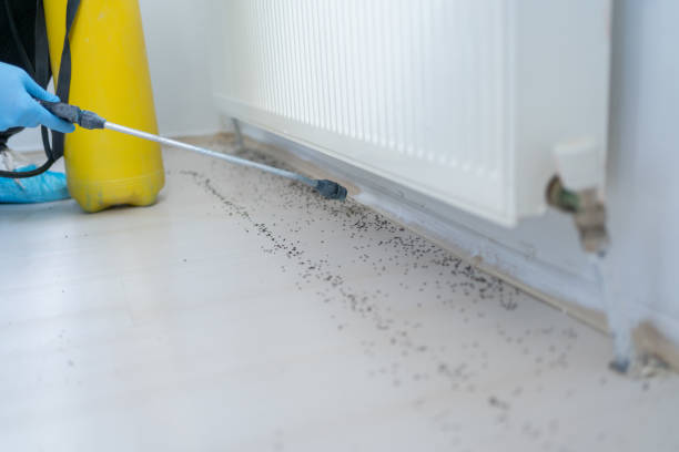 Trusted Harrison, MI Pest Control Experts