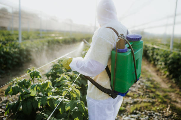 Best Affordable Pest Control Services  in Harrison, MI